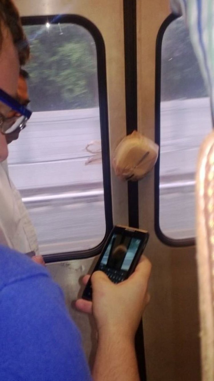 Subway Kereta merupakan transportasi umum sahabat orang banyak. Di sini, ada banyak kisah menarik yang lumayan bisa terangkum dari foto-foto berikut.
