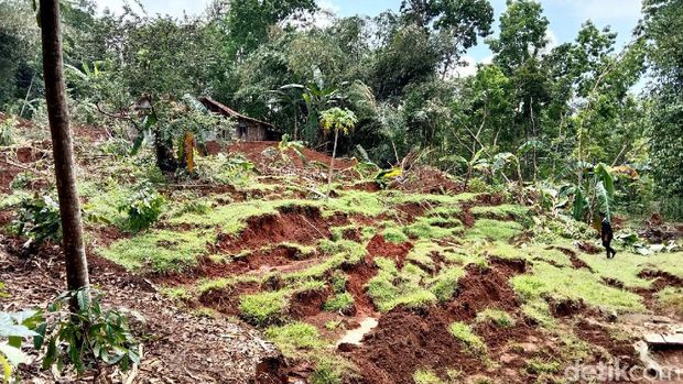 Tanah bergerak dan ambles 3 meter di Kebumen