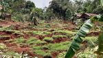 Tanah Bergerak dan Ambles Sedalam 3 Meter di Kebumen