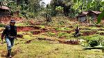 Tanah Bergerak dan Ambles Sedalam 3 Meter di Kebumen