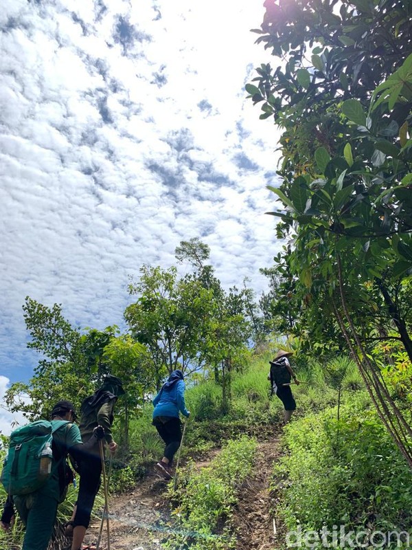 Hiking di Sentul sekarang telah menjadi salah satu liburan yang sedang hits di banyak kalangan. Di sana, traveler dapat melakukan trekking dengan melewati sejumlah jalur ciamik yang cukup memanjakan mata. Hiking di Sentul sekarang telah menjadi salah satu liburan yang sedang hits di banyak kalangan. Di sana, traveler dapat melakukan trekking dengan melewati sejumlah jalur ciamik yang cukup memanjakan mata.