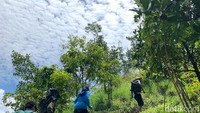 Hiking di Sentul sekarang telah menjadi salah satu liburan yang sedang hits di banyak kalangan. Di sana, traveler dapat melakukan trekking dengan melewati sejumlah jalur ciamik yang cukup memanjakan mata.