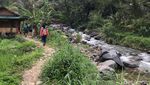 Nagih Banget! Hiking di Sentul