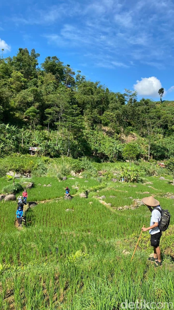 Treking di Sentul Bogor