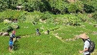 Momen libur bisa dimanfaatkan traveler untuk mengunjungi tempat-tempat wisata yang menarik. Salah satu yang patut didatangi adalah wisata treking atau hiking di kawasan Sentul, Bogor.