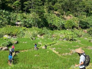 Cuaca dan PSBB Bikin Treking Sentul Sepi Peminat