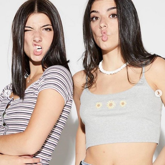 Inilah duo kakak-adik itu yang dicap sombong oleh netizen. Atas sikapnya tersebut, Charli kehilangan followersnya. Foto: Dok. Instagram Charli DAmelio dan Dixie DAmelio