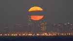 Fenomena Full Hunters Moon Latari Keindahan Kota Manhattan