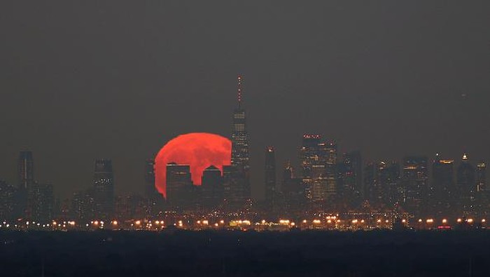 Hunters moon