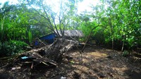 Omay berharap, pemerintah membangun kembali potensi wisata jembatan mangrove ini (Faizal Amiruddin/detikcom)