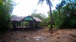 Potret Hutan Mangrove Pangandaran yang Terbengkalai
