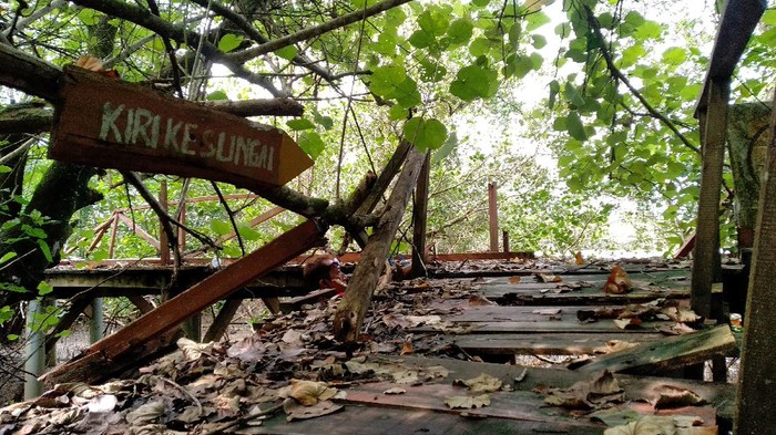 Jembatan hutan mangrove