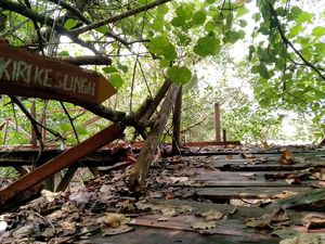 Jembatan Mangrove Pangandaran Terbengkalai, Wisatawan Kecewa