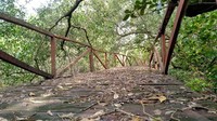 Kepala Desa sudah mengajukan bantuan ke Pemerintah Provinsi maupun Pemkab Pangandaran untk membangun kembali wisata hutan mangrove tersebut.  (Faizal Amiruddin/detikcom)
