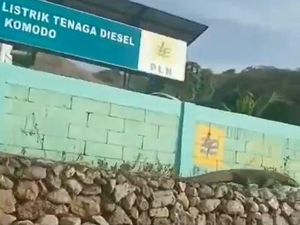Viral Video Komodo Nyasar ke PLTD PLN