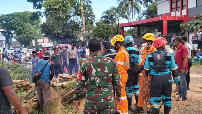 Petugas tengah mengevakuasi pohon tumbang yang menghalangi jalan
