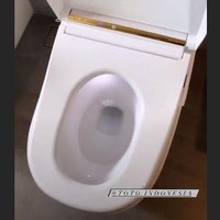 Bagian kloset duduk dalam kamar mandinya pun memiliki sedikit sentuhan warna gold. Tak hanya itu saja, klosetnya pun cukup canggih karena bisa membuka secara otomatis ketika ada orang yang masuk. Foto: Instagram/@raisa6690