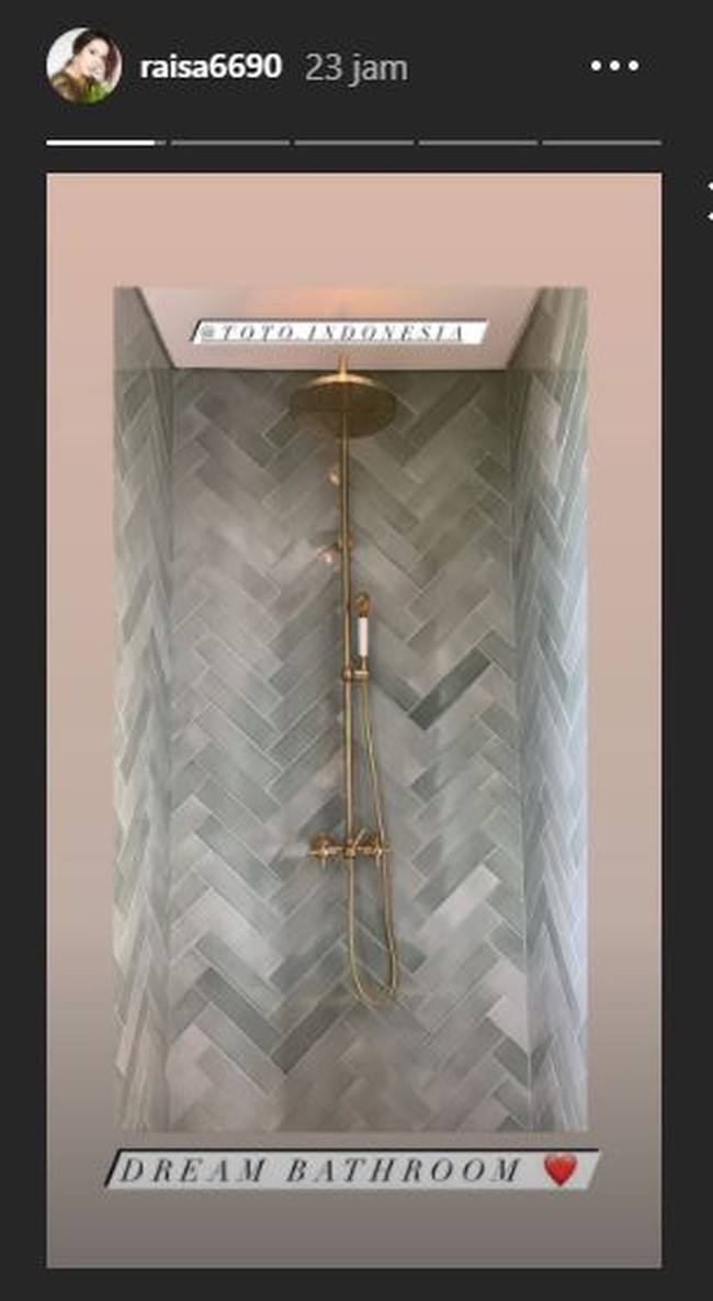 Raisa dan Hamish memilih shower berwarna gold untuk kamar mandinya. Warna tersebut membuat tampilan kamar mandinya menjadi semakin elegan. Foto: Instagram/@raisa6690