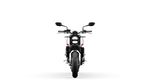 Penampakan Trident 660, Motor Kekar Triumph Paling Murah