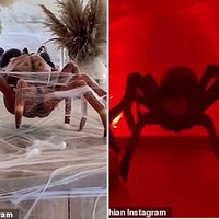 Kim Kardashian benar-benar total membuat rumahnya jadi tampak seram demi merayakan Halloween. Bagian dalam rumahnya pun dihiasi laba-laba ukuran besar, ada yang diletakkan di lantai, ada yang digantunya di langit-langit rumah. Foto: Instagram @kimkardashian