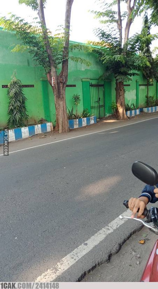 Pintunya nggak ada tapi pagarnya ada. Jadi fungsi pagarnya buat apa ya kalau boleh tahu? Foto: 1cak.com
