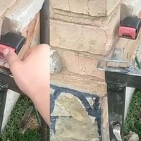 Pagar yang satu ini kreatif dan unik banget, dijamin anti mainstream. Berniat untuk mencoba? Foto: Instagram/@dagelan