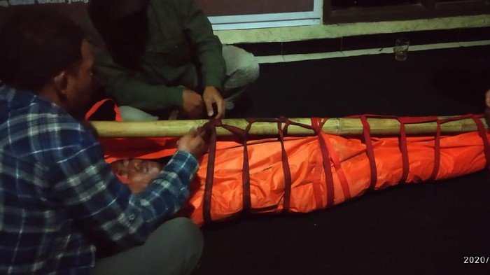 Evakuasi pendaki asal Jakarta yang terjatuh di Gunung Slamet. Evakuasi ini terjadi pada Minggu (1/11/2020). Korban Maulidin Saputra (17) diketahui terjatuh dari pos enam ke pos lima.