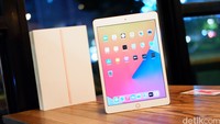 iPad 8
