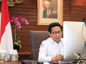 Mendes Paparkan Program Pembangunan Global dalam Konteks Desa