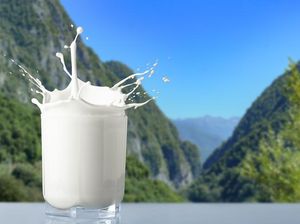 Minuman Masa Kolonial Kini Jadi Minuman Favorit Milenial
