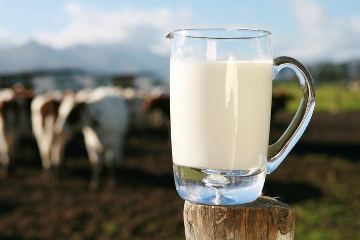 Minuman Masa Kolonial Kini Jadi Minuman Favorit Milenial