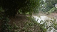 Lokasinya yang berdekatan dengan sungai Ciliwung menjadi sebuah ekosistem tersendiri karena menjadi daerah resapan air bagi pohon-pohon yang tumbuh di tempat tersebut.  