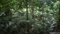 Destinasi wisata Ciliwung Condet menjadi bagian penting dalam pengelolaan, salah satunya memikirkan nilai-nilai ekologi yang terkandung di dalamnya baik itu ruang terbuka hijau dan juga nilai keragaman hayatinya.  