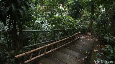 Potret Ciliwung Condet yang Direncanakan Jadi Destinasi Wisata