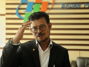 Bicara Ketersediaan Pangan, Mentan Sebut Stok Beras Lebih 7 Juta Ton