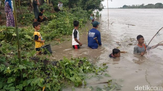 warga Lamongan berburu ikan mabuk