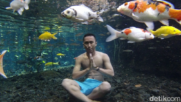 Untuk swafoto underwater bersama ikan, traveler harus membayar Rp 5 ribu. Murah meriah bukan? 