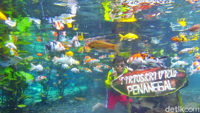 Wisata Alam Tirtosari, Lumajang, Jatim