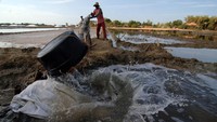 Pemerintah kemudian meluncurkan program Sentra Garam Rakyat (SEGAR). Pembangunan lumbung garam nasional berbasis sentra garam rakyat itu sejatinya merupakan implementasi dari Peraturan Presiden atau Perpres Nomor 16 Tahun 2017 tentang Kebijakan Kelautan Indonesia.  