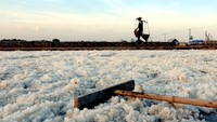 Menurut Kemenko Marves, SEGAR sebagai aksi lanjut pilar ke-4, yakni Ekonomi dan Infrastruktur Kelautan pada kebijakan Ekonomi Kelautan Peningkatan Kesejahteraan yang dilakukan melalui program pembangunan kawasan ekonomi kelautan secara terpadu.  