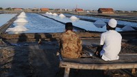 Pemerintah melalui Kementerian Koordinator Bidang Kemaritiman dan Investasi (Kemenko Marves) terus berupaya dan mendorong pembangunan lumbung garam nasional dengan penekanan pada peningkatan kuantitas dan kualitas produksi garam rakyat.  