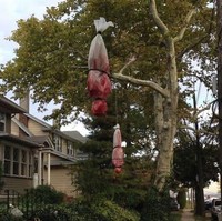Niat banget. Bungkusan putih tergantung di pohon dengan cat merah yang persis seperti darah. Siapapun akan bergidik jika lewat di depannya. Foto: Reddit, Boredpanda