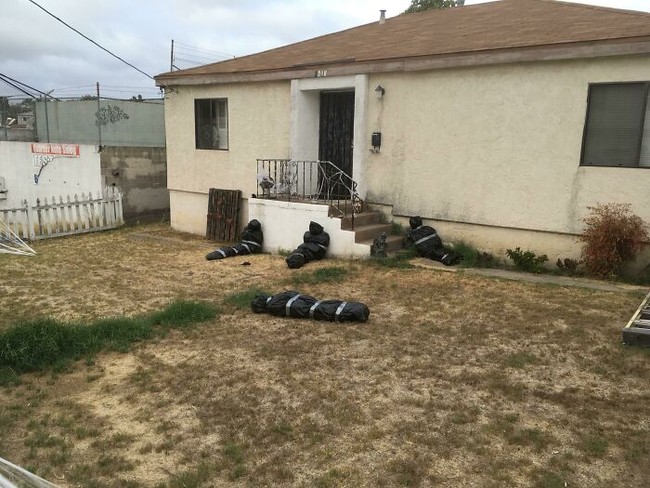 Halaman belakang rumah ini jadi seperti adegan seram di film-film horor. Lihat saja bungkusan mayat yang diletakkan begitu saja di tanah. Foto: Reddit, Boredpanda