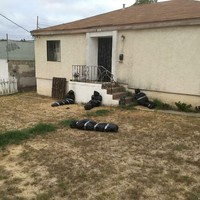 Halaman belakang rumah ini jadi seperti adegan seram di film-film horor. Lihat saja bungkusan mayat yang diletakkan begitu saja di tanah. Foto: Reddit, Boredpanda