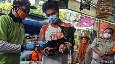 Vaksinasi Rabies Digencarkan di Jakarta