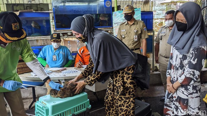Warga membawa binatang peliharaan ke posko vaksinasi rabies gratis di Kebon Kelapa, Gambir Jakarta Pusat, Selasa (3/10/2020). Program vaksinasi ini dilakukan oleh Dinas KPKP Jakarta dengan pemprov DKI.