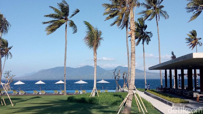 hotel di banyuwangi