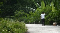Kawasan Condet yang masih banyak ditanami pepohonan baik besar dan kecil menjadi salah satu daerah penyanggah resapan air yang tidak cocok dibangun oleh beton.