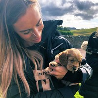 Terlepas dari penampilannya, Kate Greville juga dikenal sebagai sosok pecinta hewan. Foto-foto anjing mendominasi unggahan Kate di Twitter. (Foto: Twitter/@KateEAGreville)