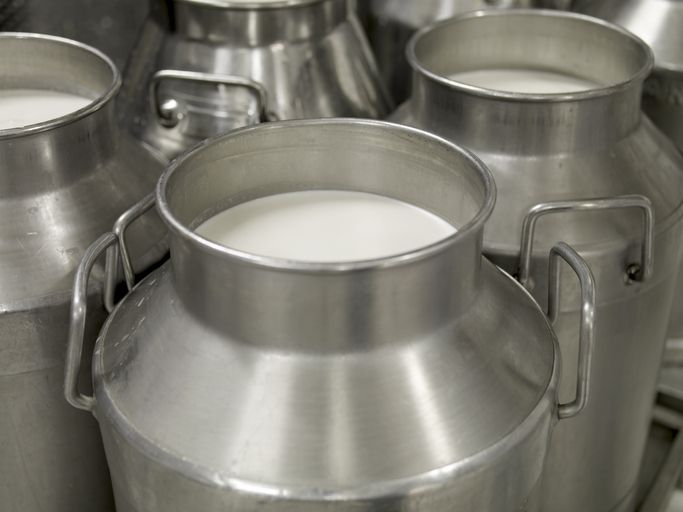 Mengenal Hokkaido Milk, Susu Jepang yang Creamy dan Kaya Rasa